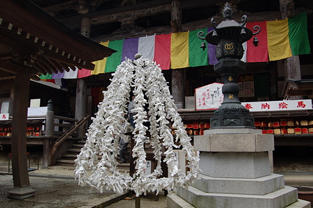 飛鳥岡寺2009 3.20