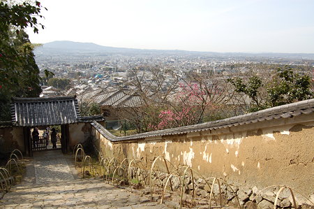白豪寺