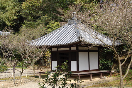 白豪寺