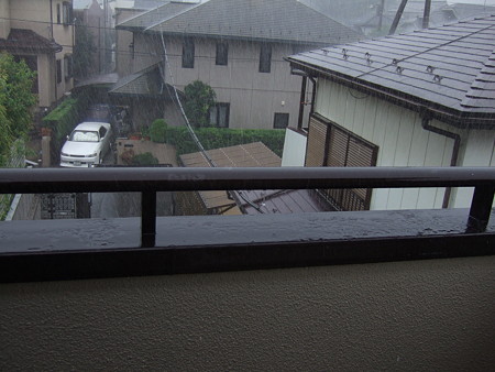 10ヤッパ降った