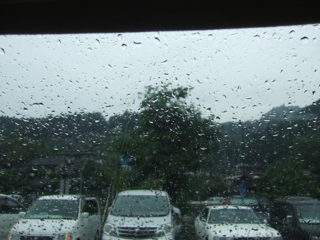 08雨
