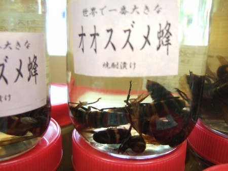 09スズメ蜂