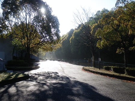 090415 野津田公園