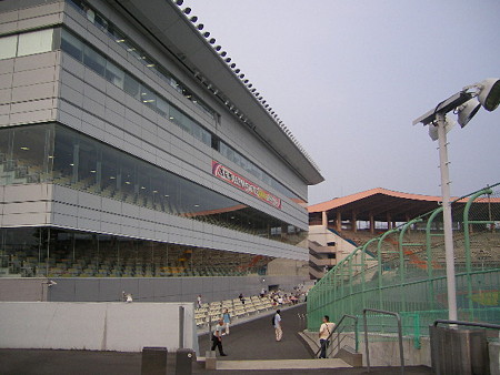 ddt 003