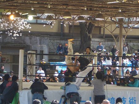 zero1