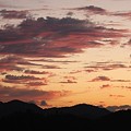 IMG_0706