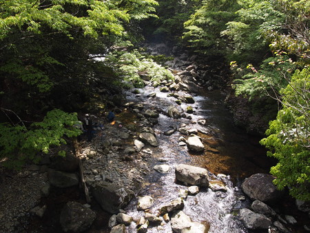 P5032374