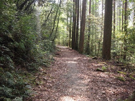 P5032381