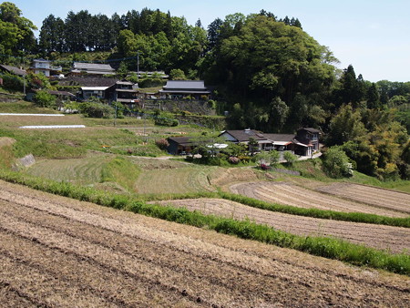 P5042436
