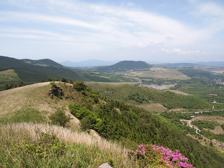 P5232995