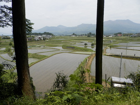 P5253825