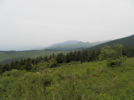 P5253885