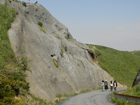 P5253935