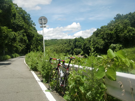 CIMG5592