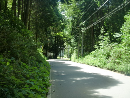 CIMG5596