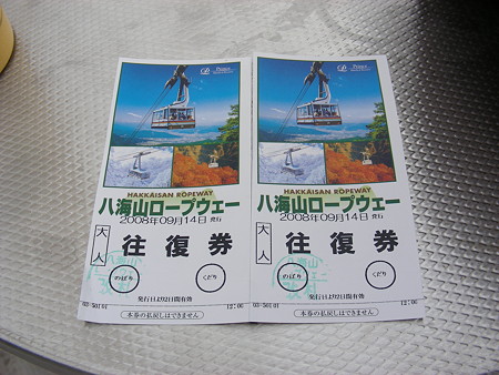 ロープウェーのチケット