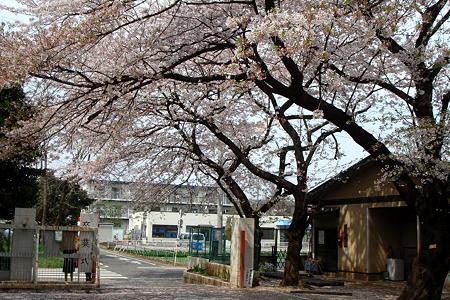 文字通り、入学式のウラガワ