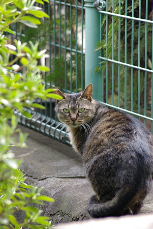 IMGP1181