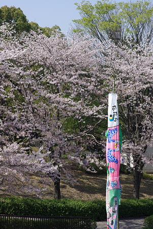 IMGP1362