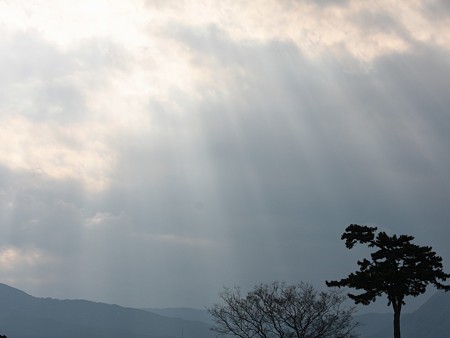 薄明光線
