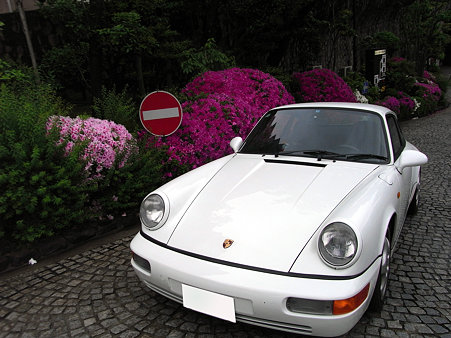 RIMG2934