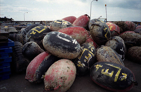 Image0471(FUJI DL-501 PANORAMA)