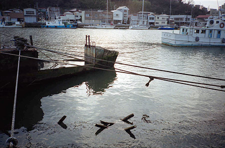 Image0459(FUJI DL-501 PANORAMA)