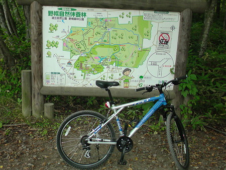 野幌森林公園　基線