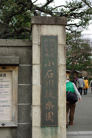 IMGP0156
