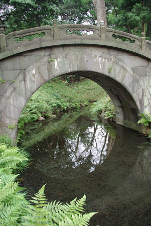 IMGP0365
