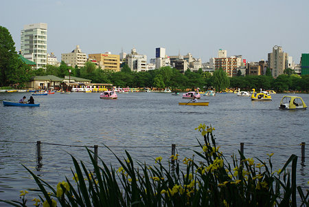 IMGP5106