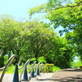 深緑