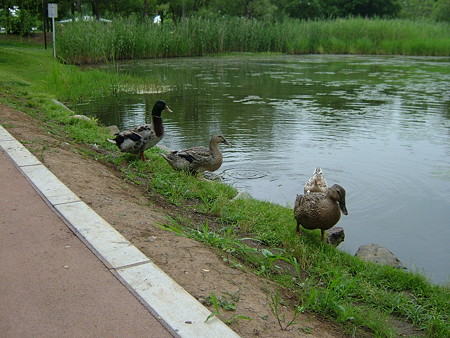 DSCF2831