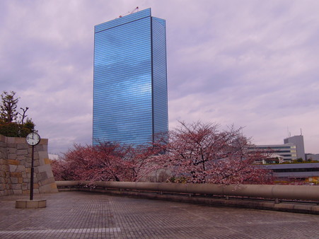 DSCN0766