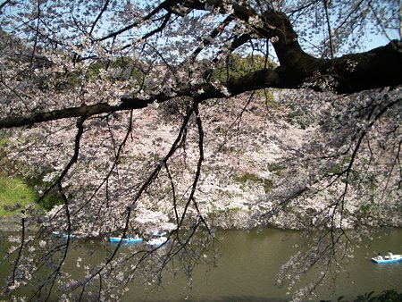 千鳥ヶ淵