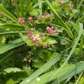 Photos: P4220592