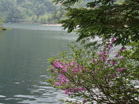 P6020268