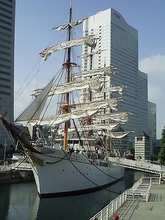 畳んでます (7)
