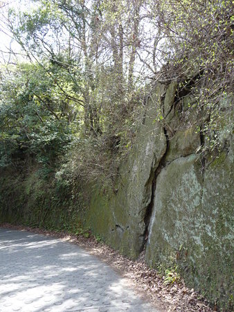 090403-鎌倉 通学路 (12)