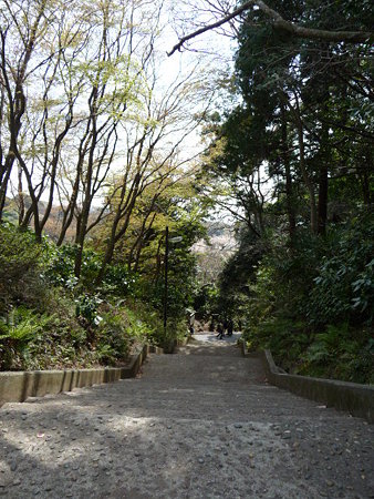 090403-鎌倉 通学路 (16)