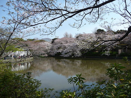 090403-八幡様 (7)
