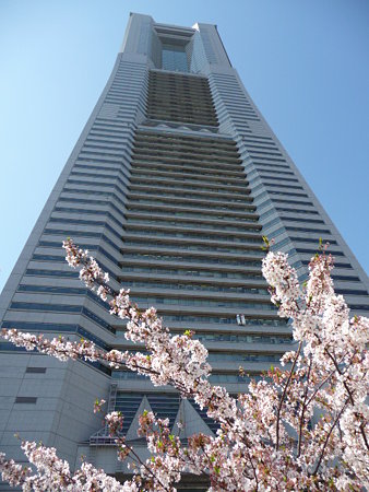 090409-MM21 ランドマークタワーと桜 (22)