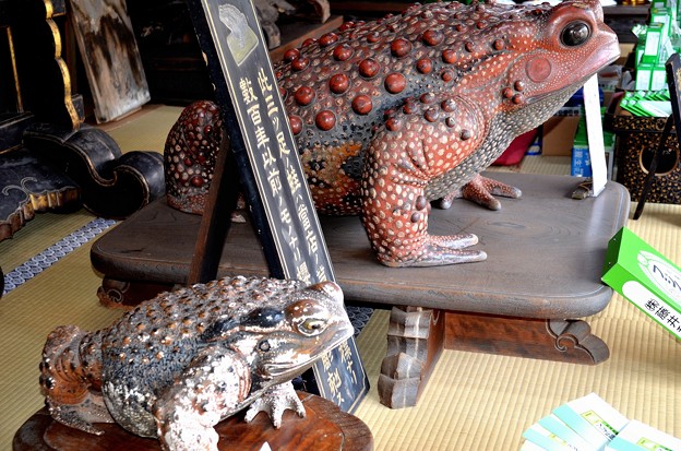 Photos: 看板ガエル