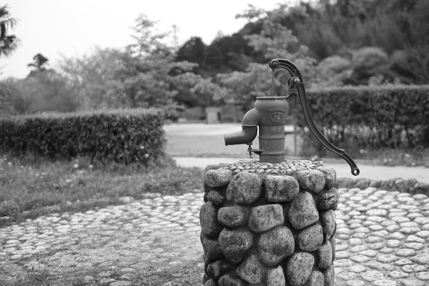 IMG_3732BW