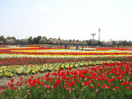 DSC00895