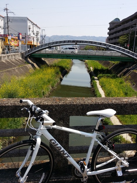 第二寝屋川と生駒山景