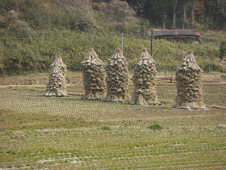 わらの摩天楼