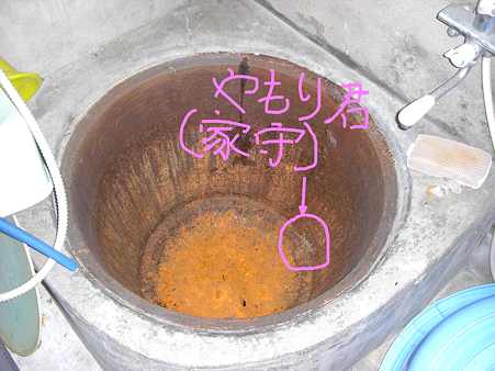 ヤモリin五右衛門風呂