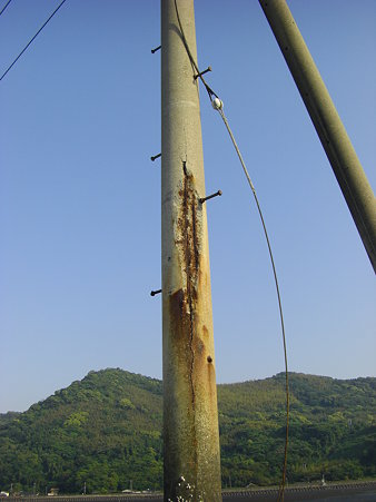 電柱けっこう朽ちてます