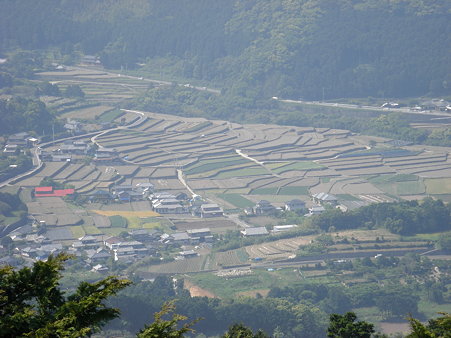 段々畑が見える